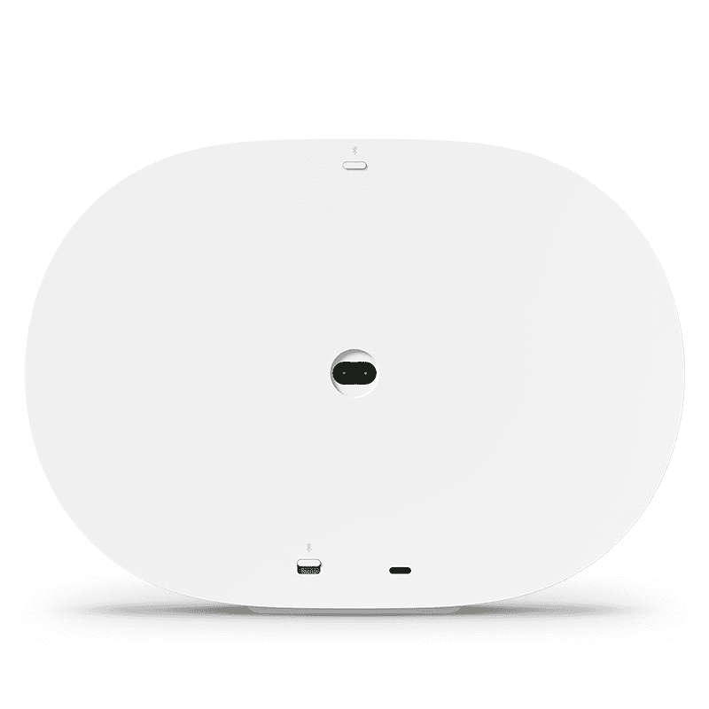ERA 300 Wireless Speaker