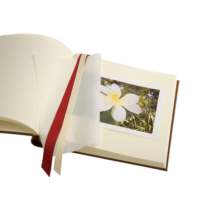 Photo Album
