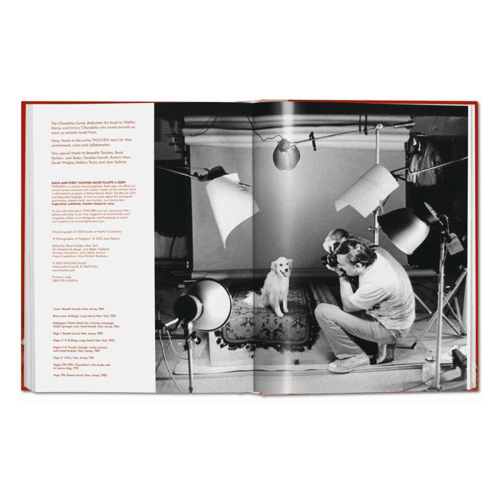 Walter Chandoha: Dogs, Photographs 1941-1991