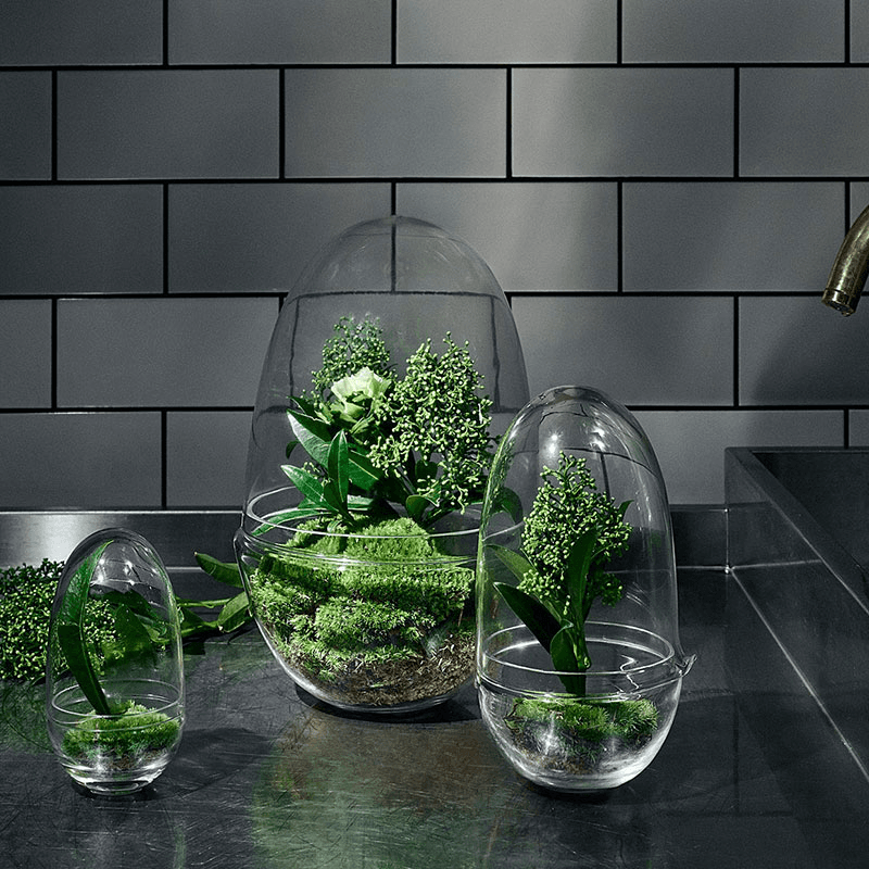 Grow Greenhouse