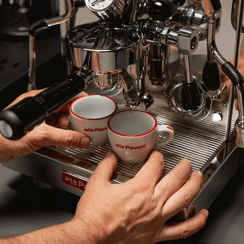 Botticelli Evolution Coffee Machine, Stainless Steel