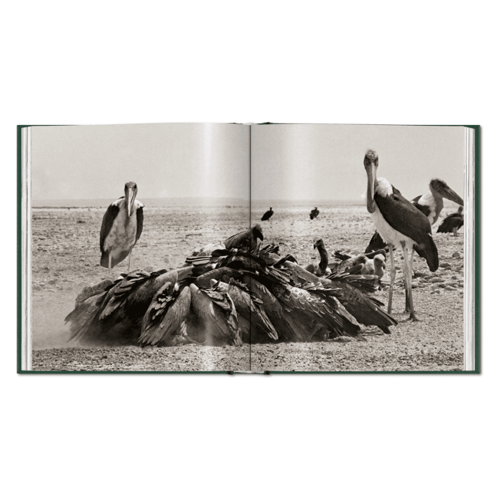 Peter Beard: The End of the Game