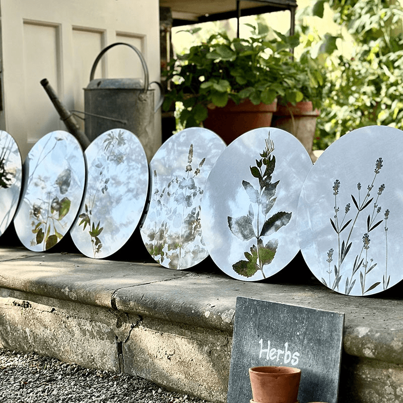 Herbarium Set of 6 Round Placemats, Green