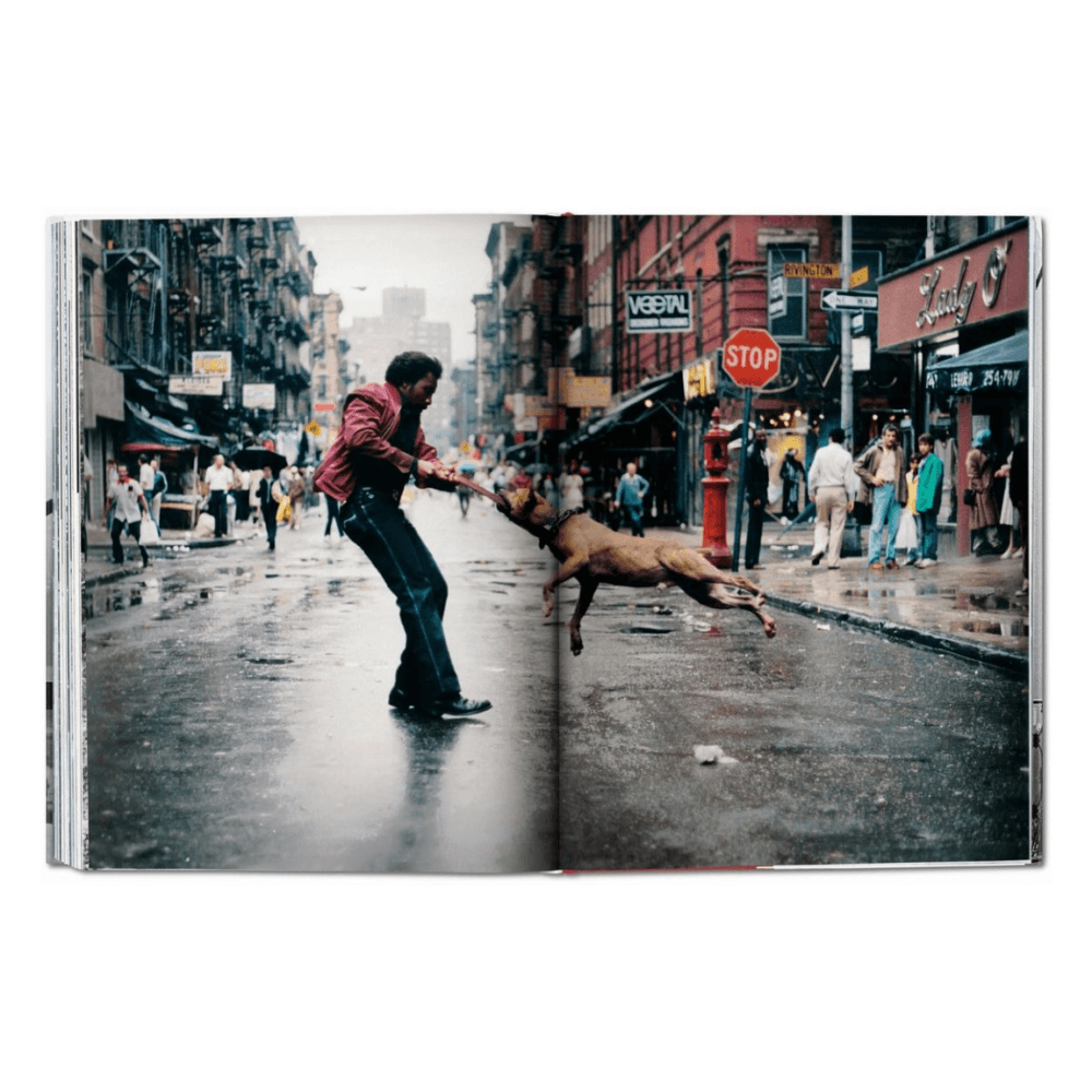New York: Portrait of a City