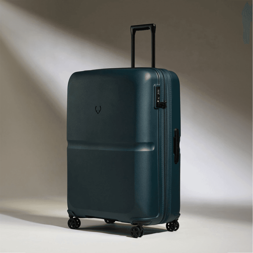 Single Stripe Suitcase