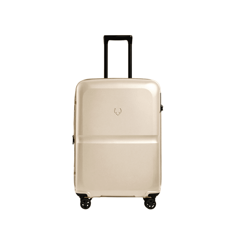 Single Stripe Expandable Suitcase