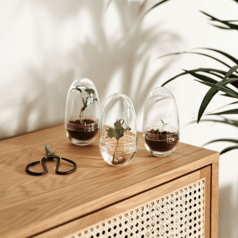 Grow Greenhouse