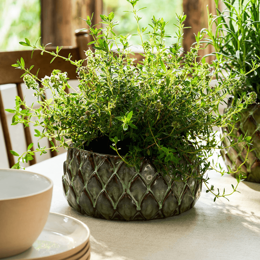 Wilcot Bowl, Green