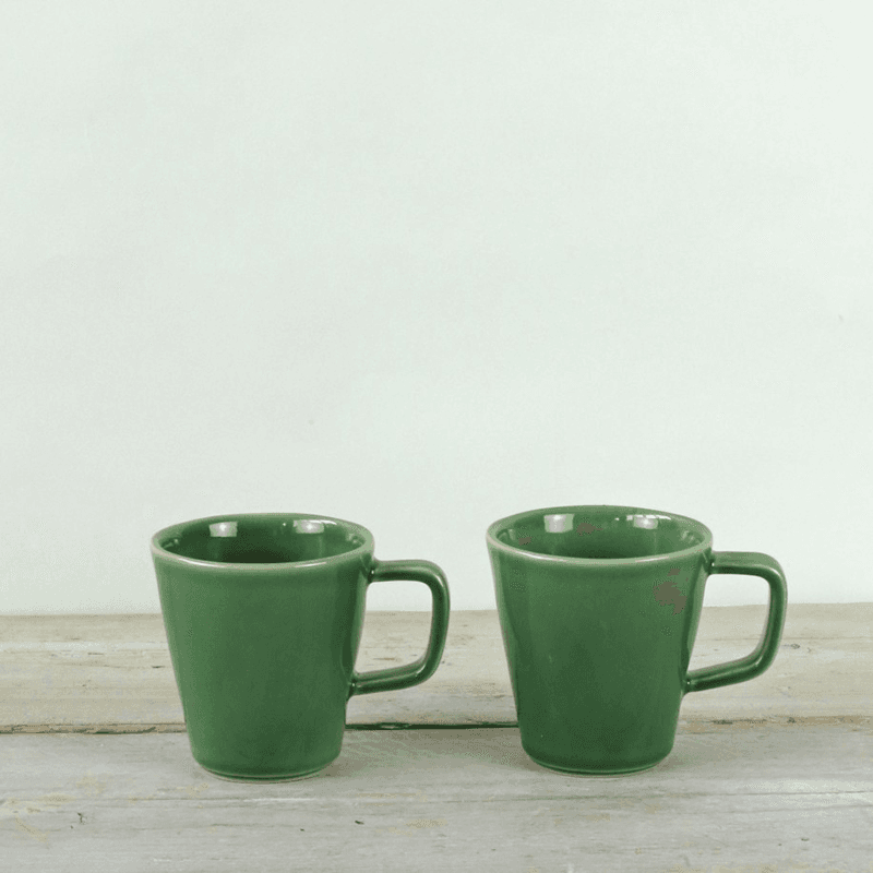 Parrot Set of 2 Mugs, Green