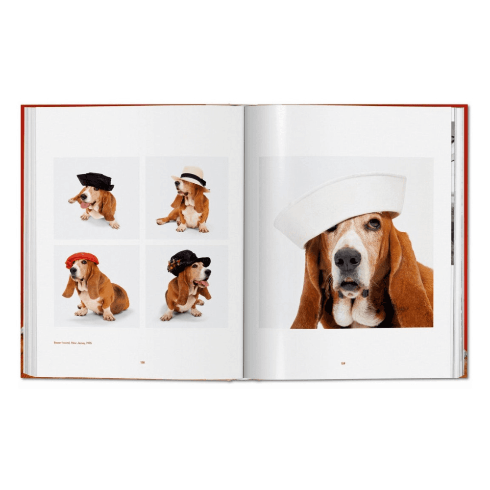 Walter Chandoha: Dogs, Photographs 1941-1991