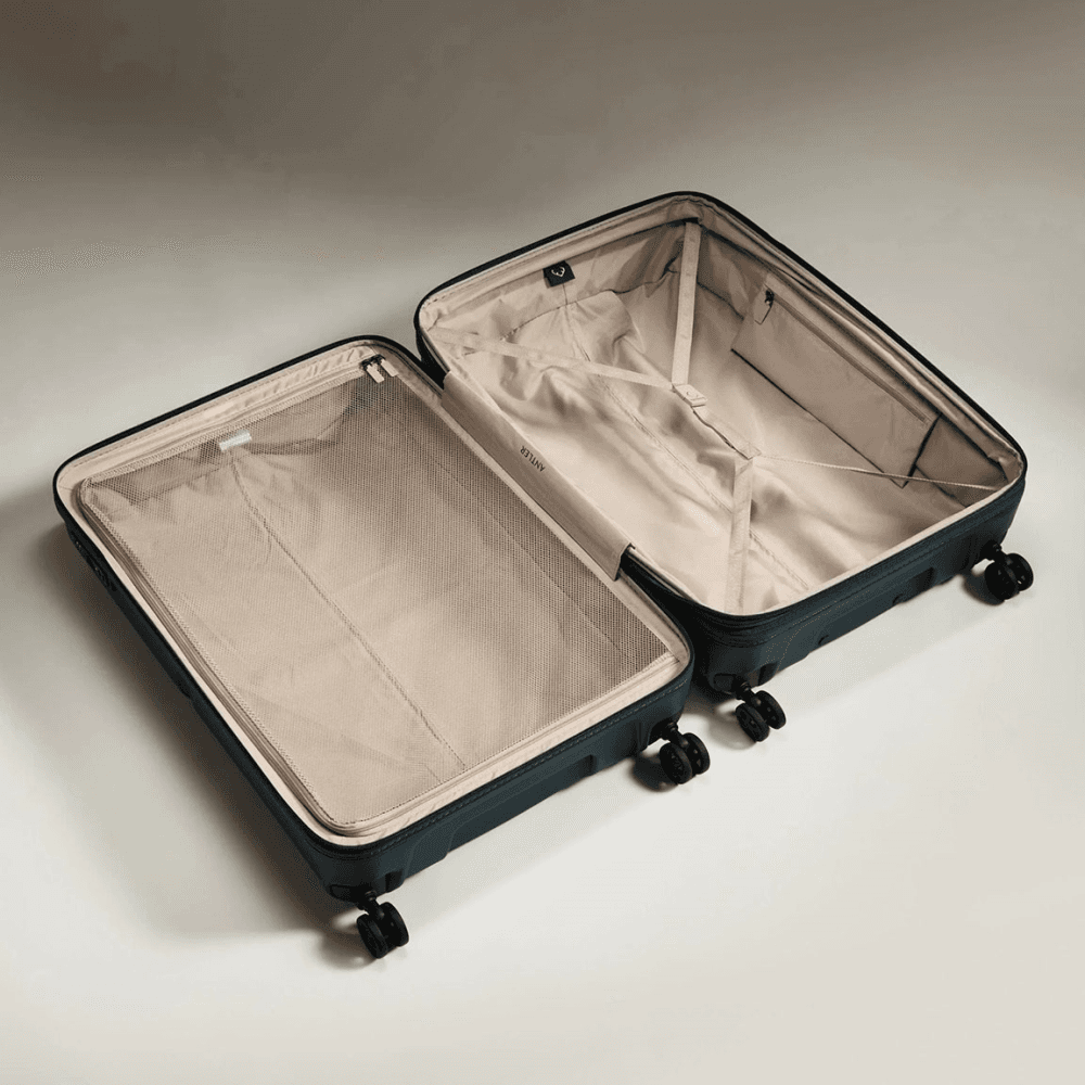 Single Stripe Suitcase