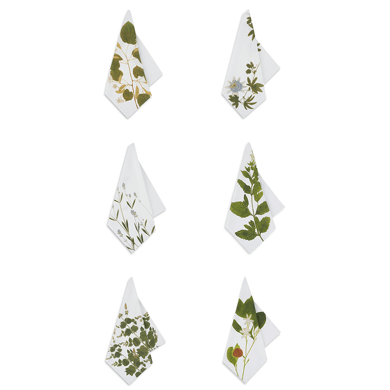 Herbarium Tisane Set of 6 Napkins, Multi