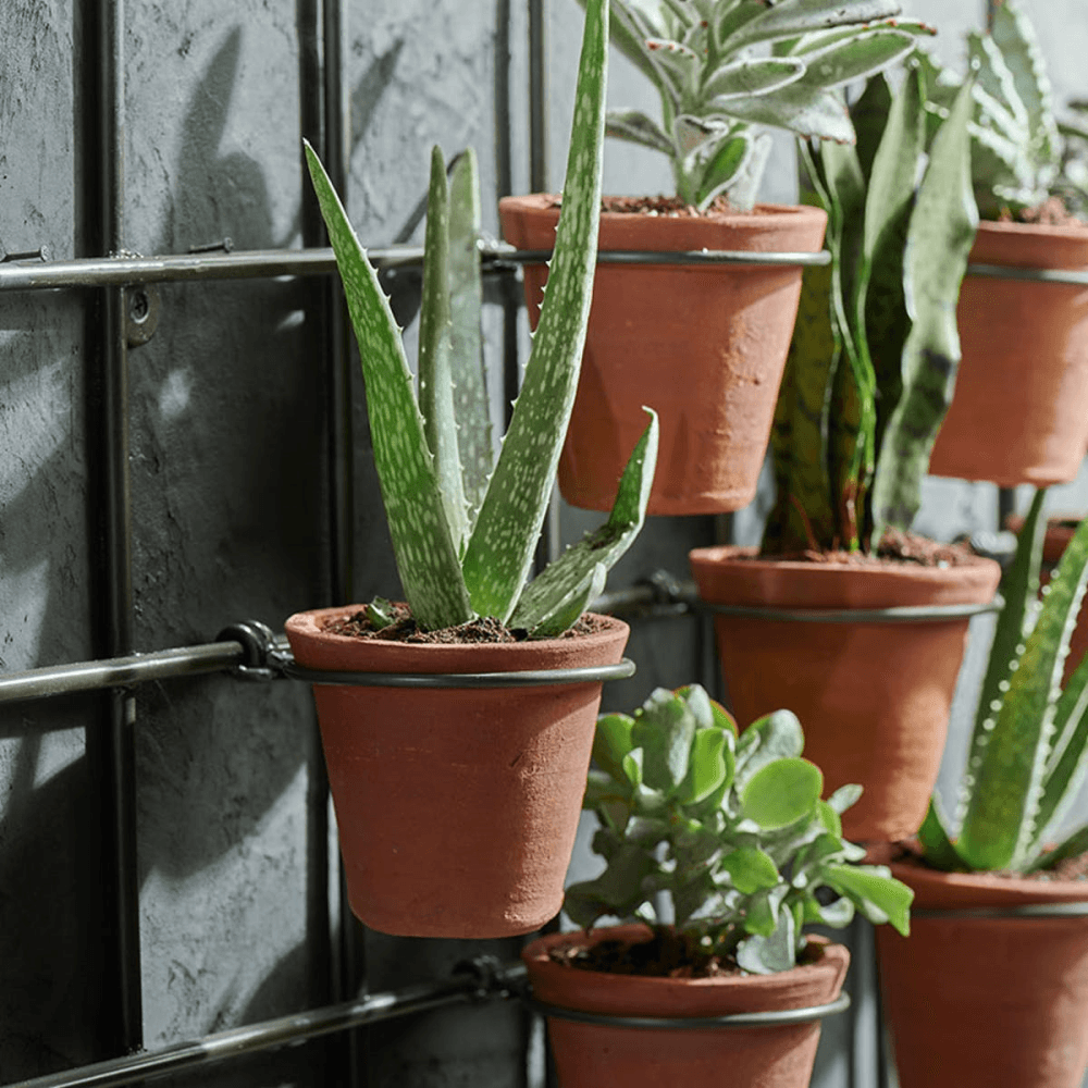 Jara Wall hung planter, Terracotta/Black