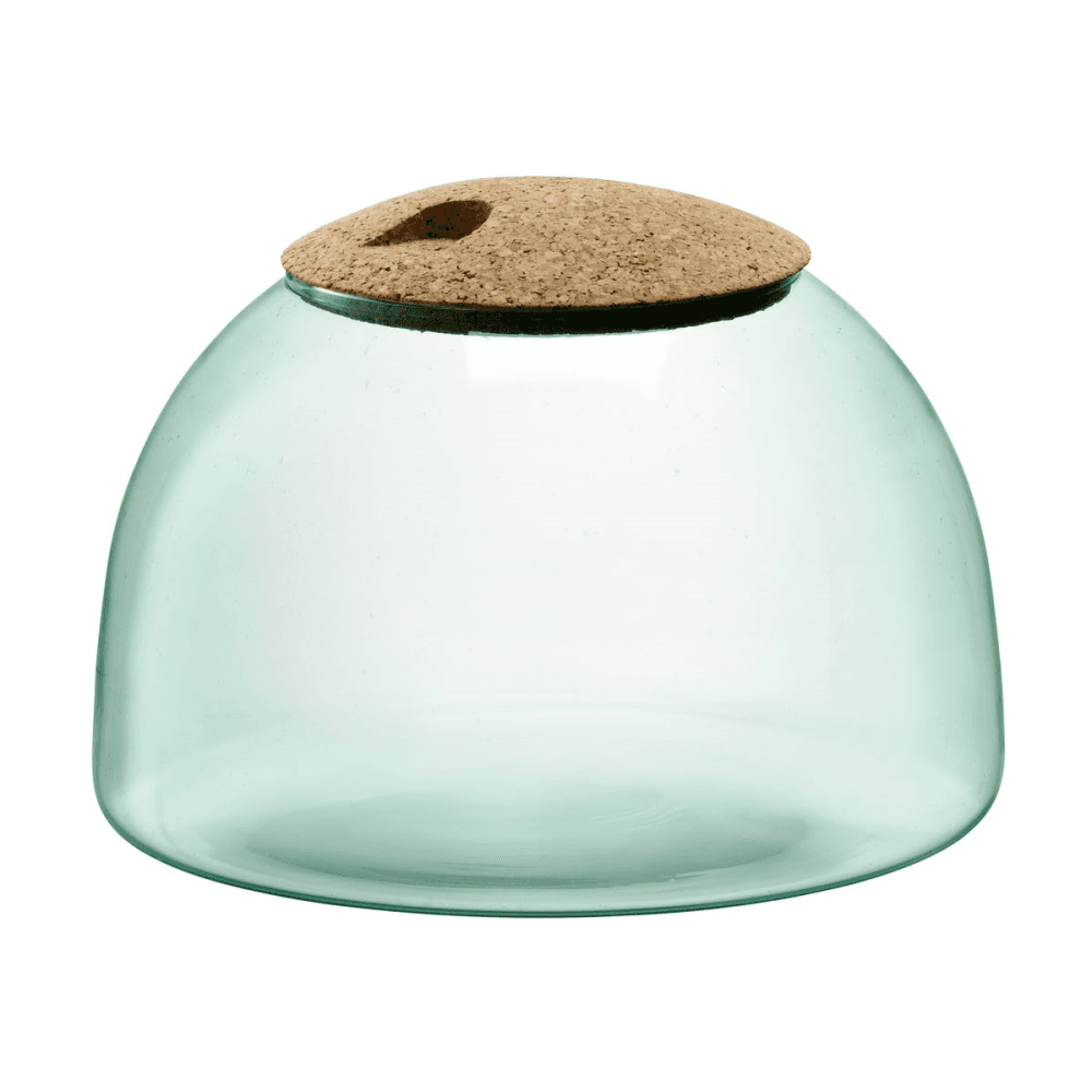 Canopy Garden Terrarium