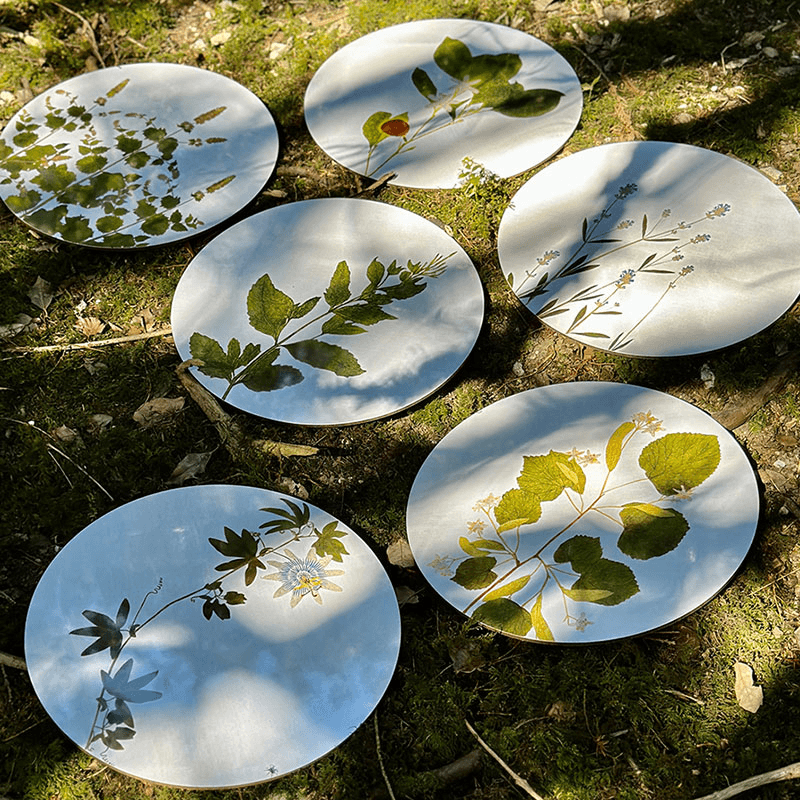 Herbarium Set of 6 Round Placemats, Green