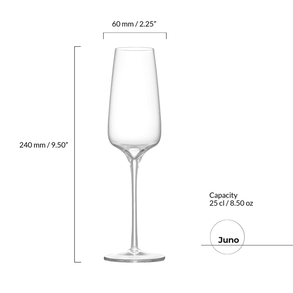 Juno Set of 2 Champagne Flutes