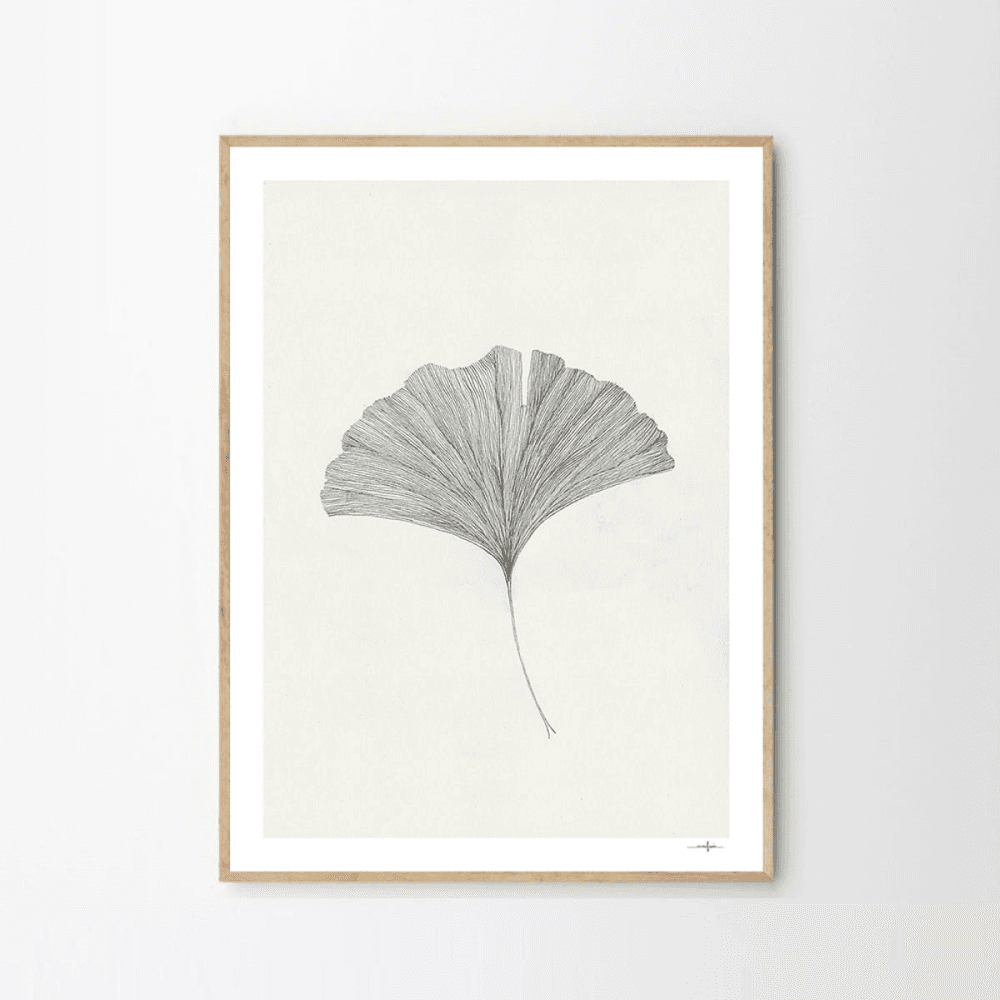 Grinko Leaf - Ana Frois Art Print, Multi