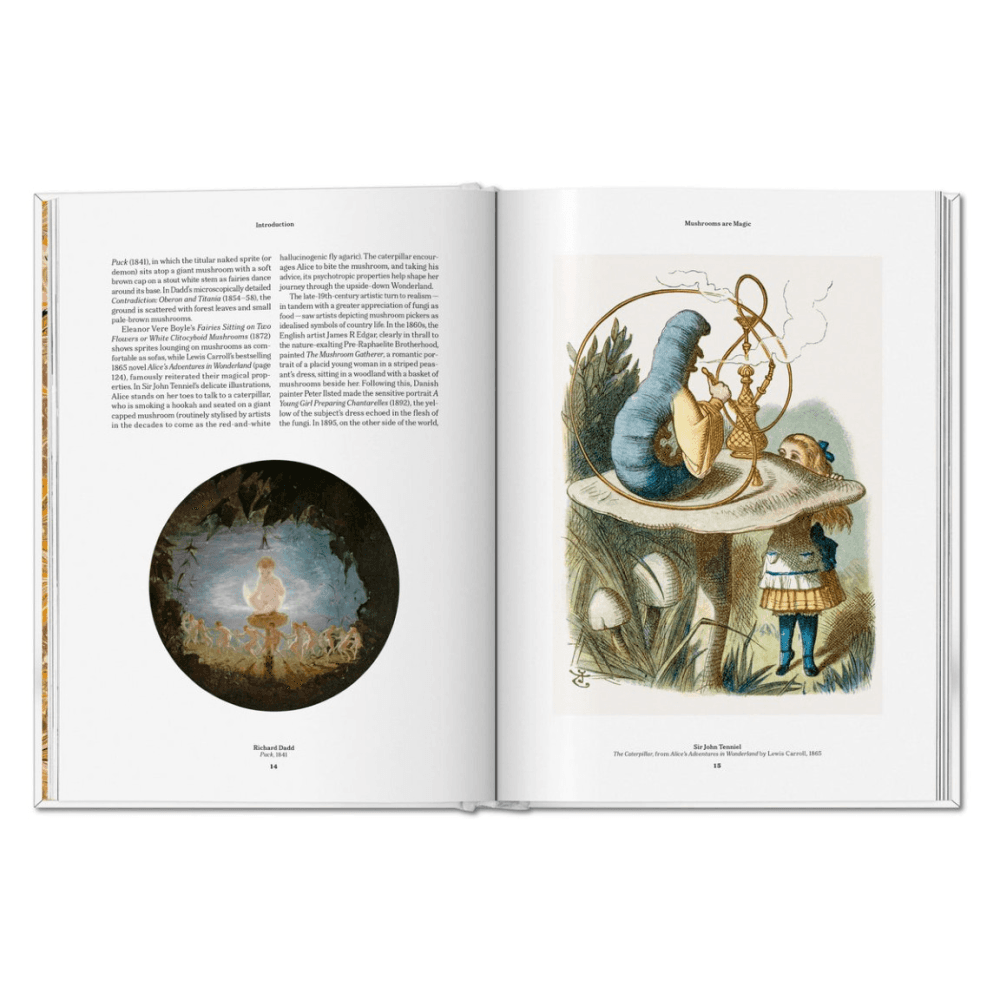 The Gourmand's Mushroom: A Collection of Stories & Recipes