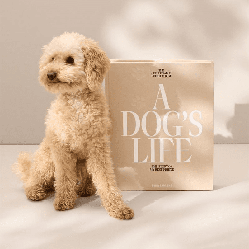 A Dog's Life Dog Photo Album, Beige