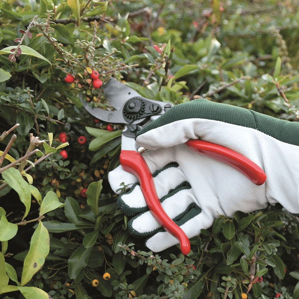 Leather palm gloves