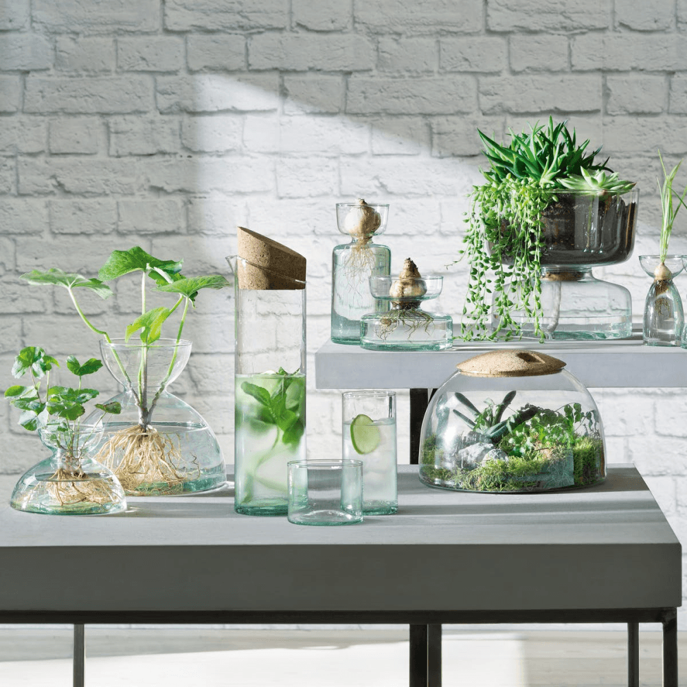Canopy Garden Terrarium