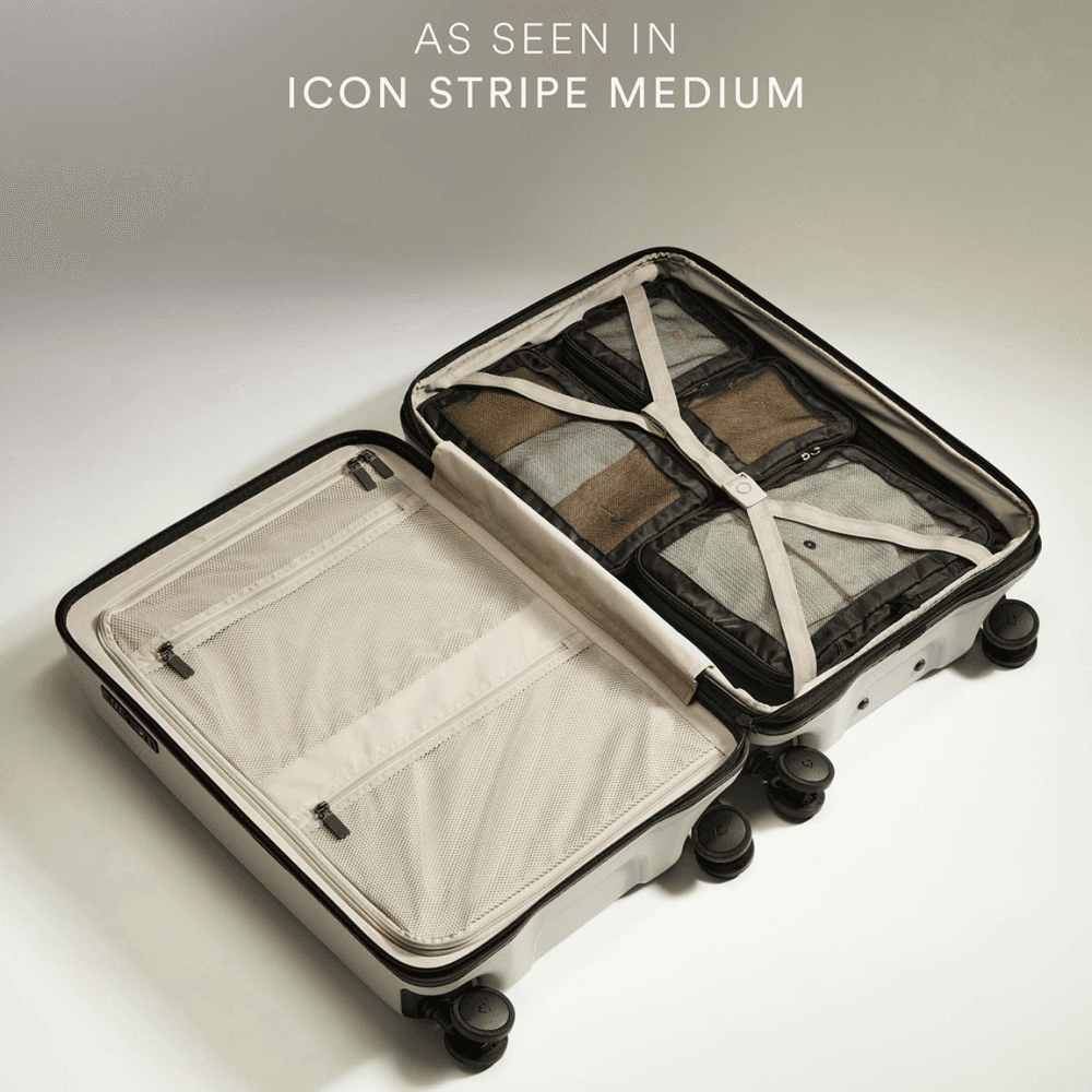 Chelsea Set of 4 Packing Cubes