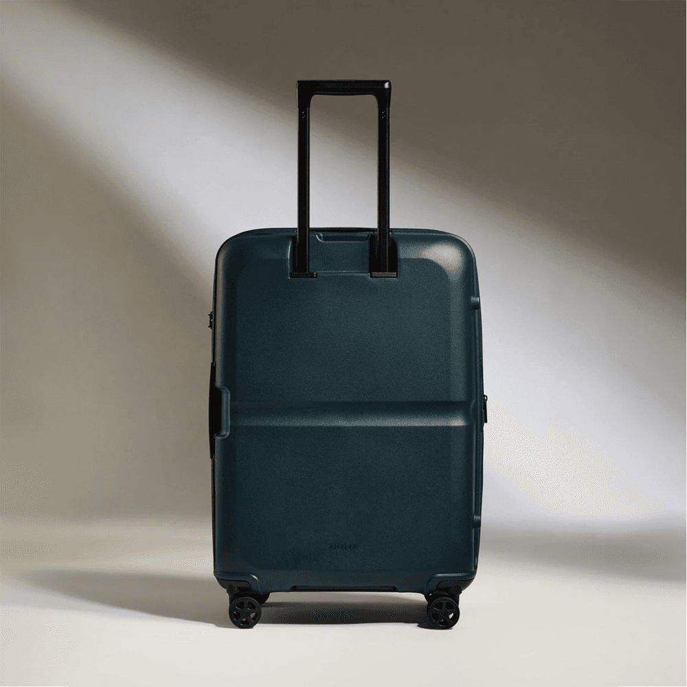 Single Stripe Suitcase