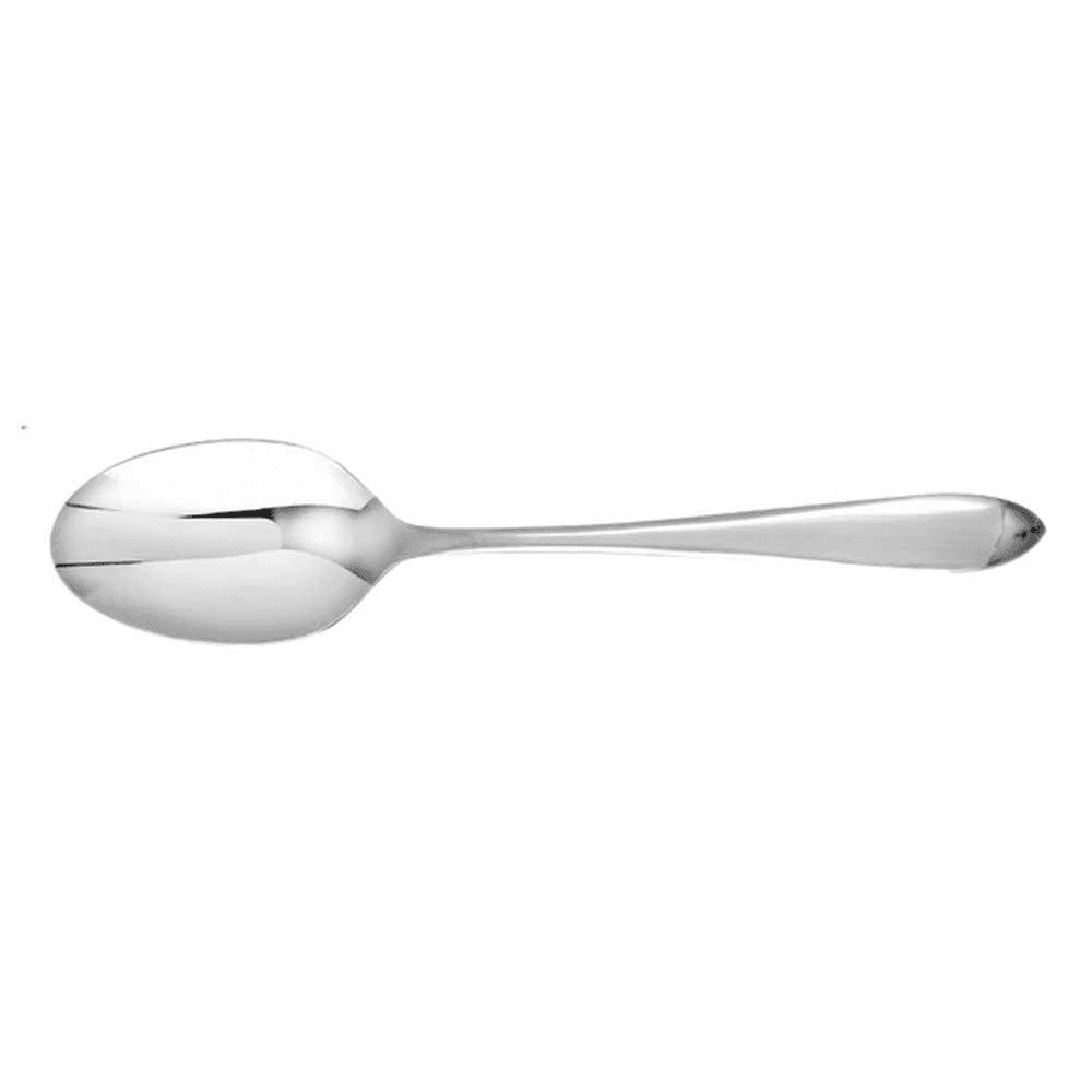 Dream Serving Spoon, Stainless Steel