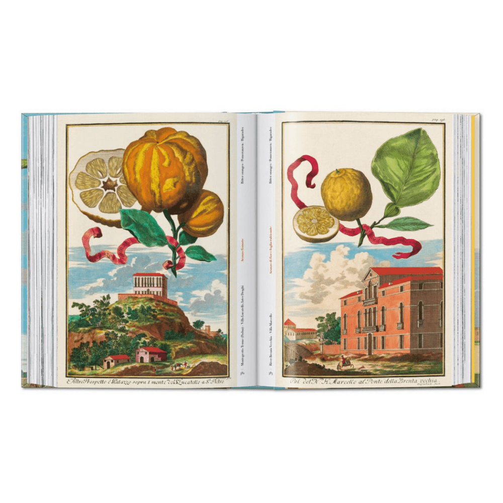 Volkamer: The Book of Citrus Fruits