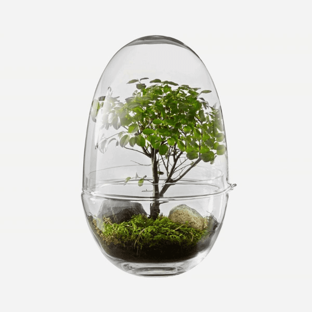 Grow Greenhouse
