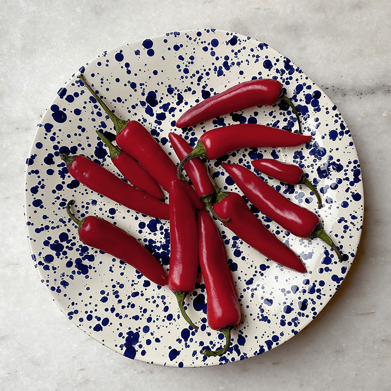 Splatter Shallow Serving Bowl