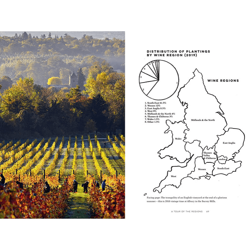English Wine: The Ultimate Guide To Discovering English Wine
