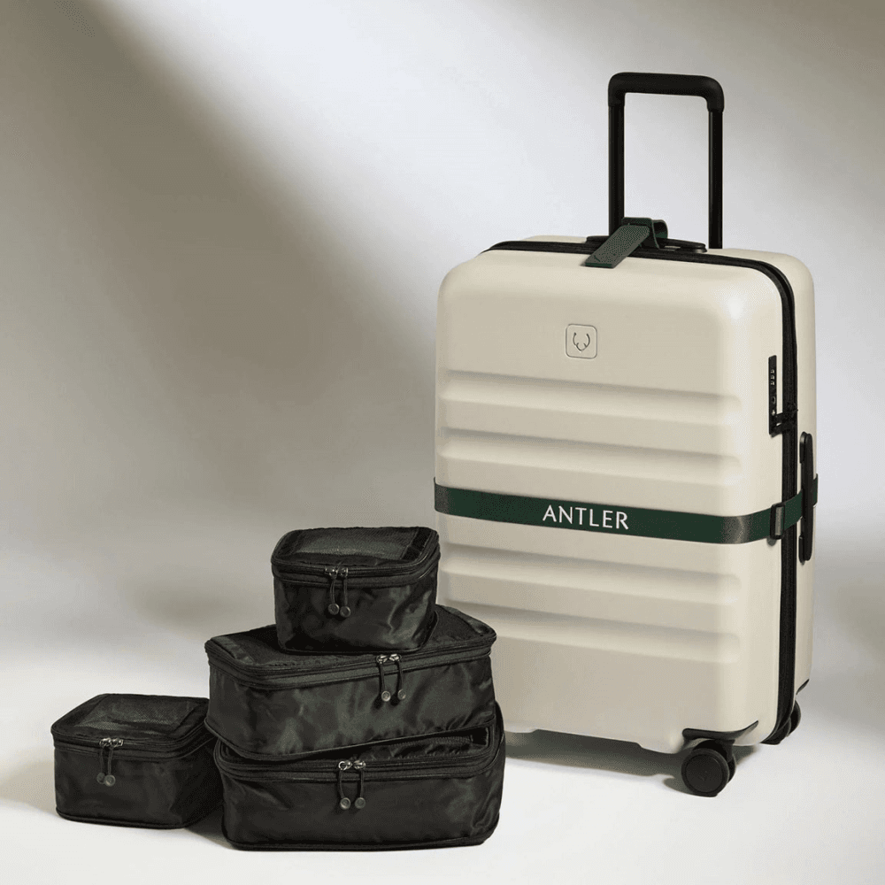 Chelsea Set of 4 Packing Cubes