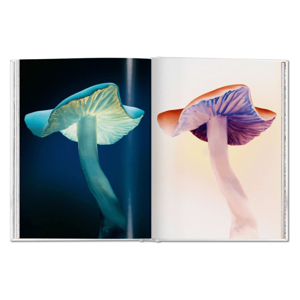 The Gourmand's Mushroom: A Collection of Stories & Recipes