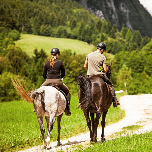 Image showing the Horse riding lessons fund product.