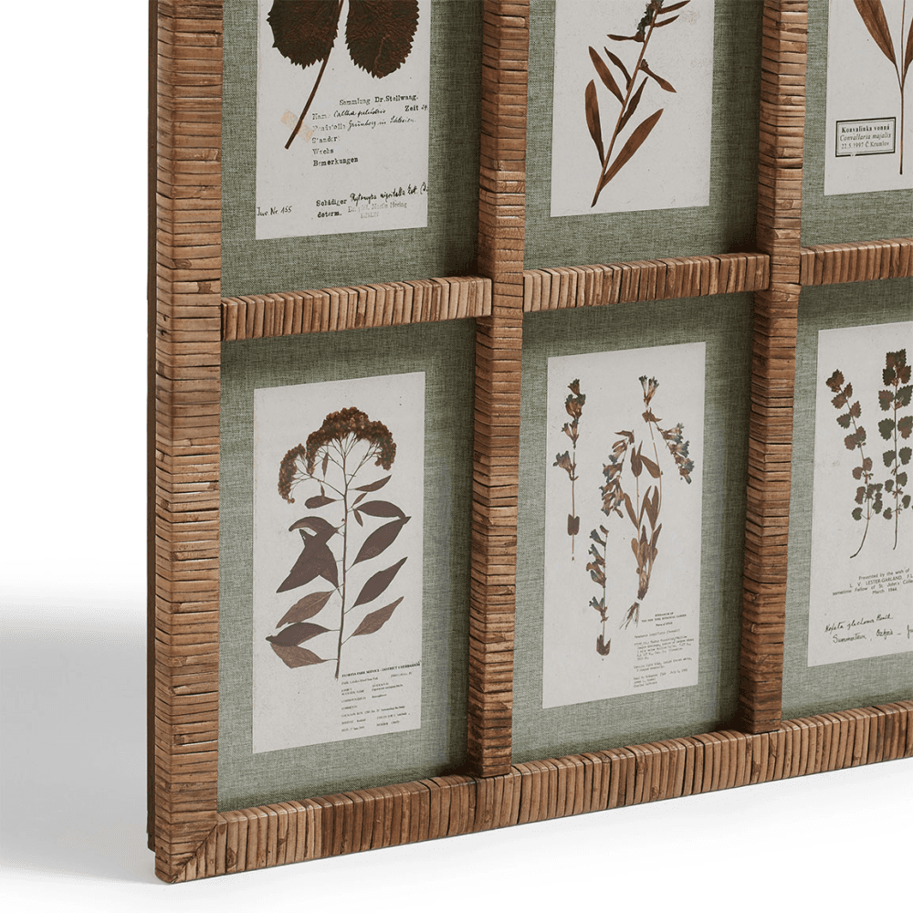 Flores Rattan Framed Floral Prints, Natural