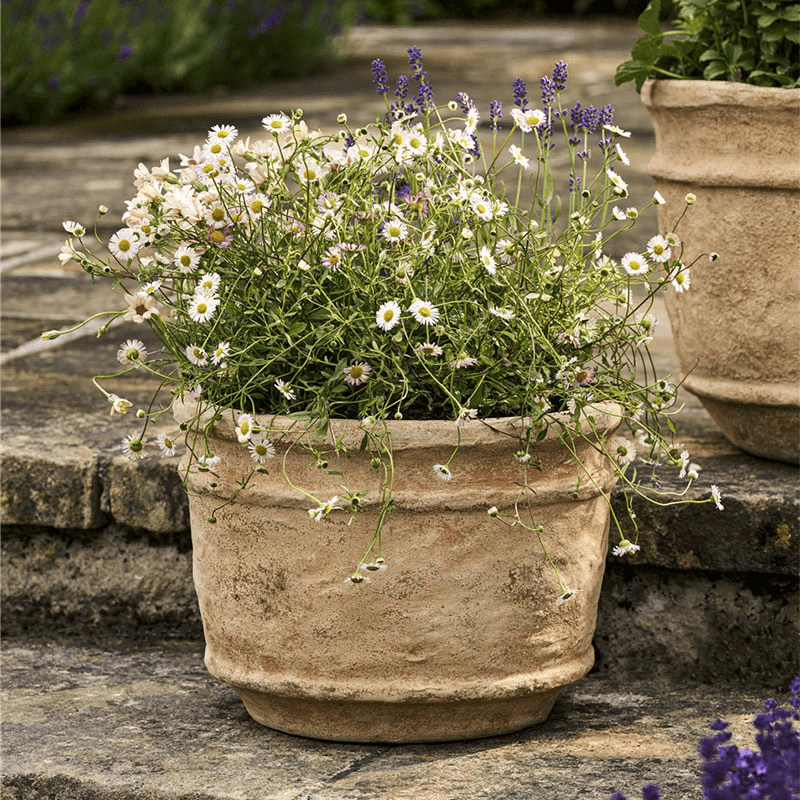 Haresfield Planter