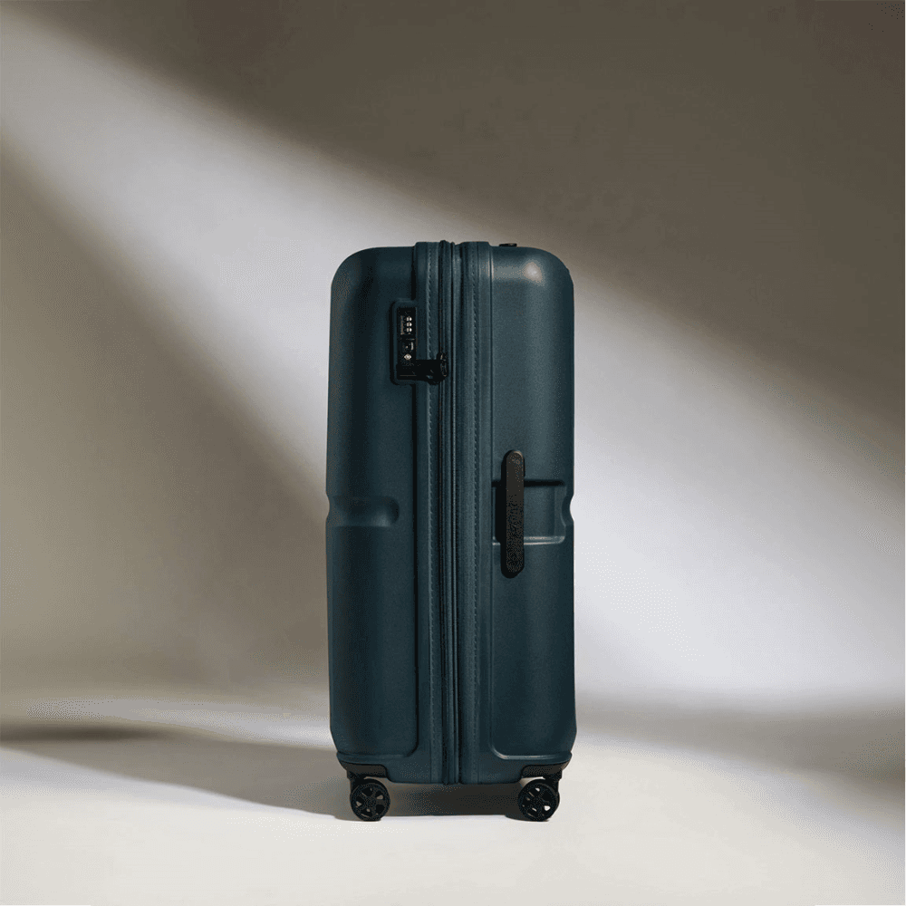 Single Stripe Suitcase