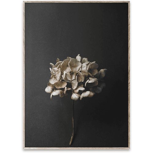 Image showing the Still Life 04 Art Print product.