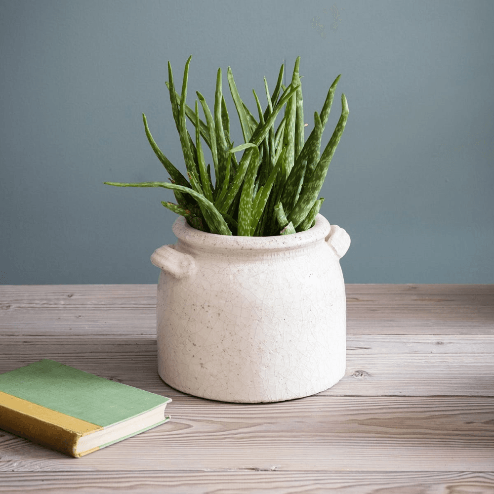 Ravello Plant Pot, White