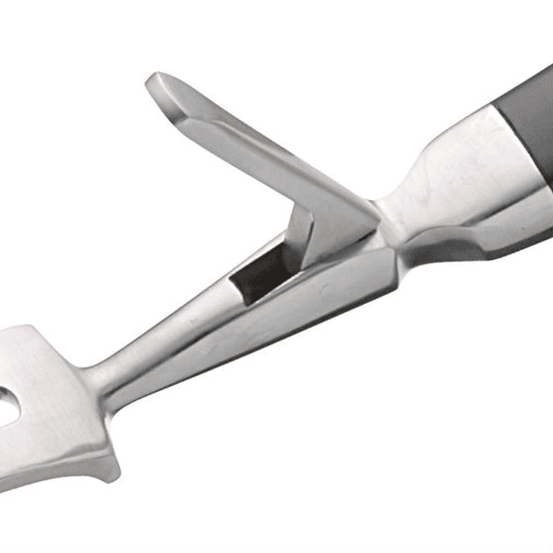 Traditional Carving Fork with Guard