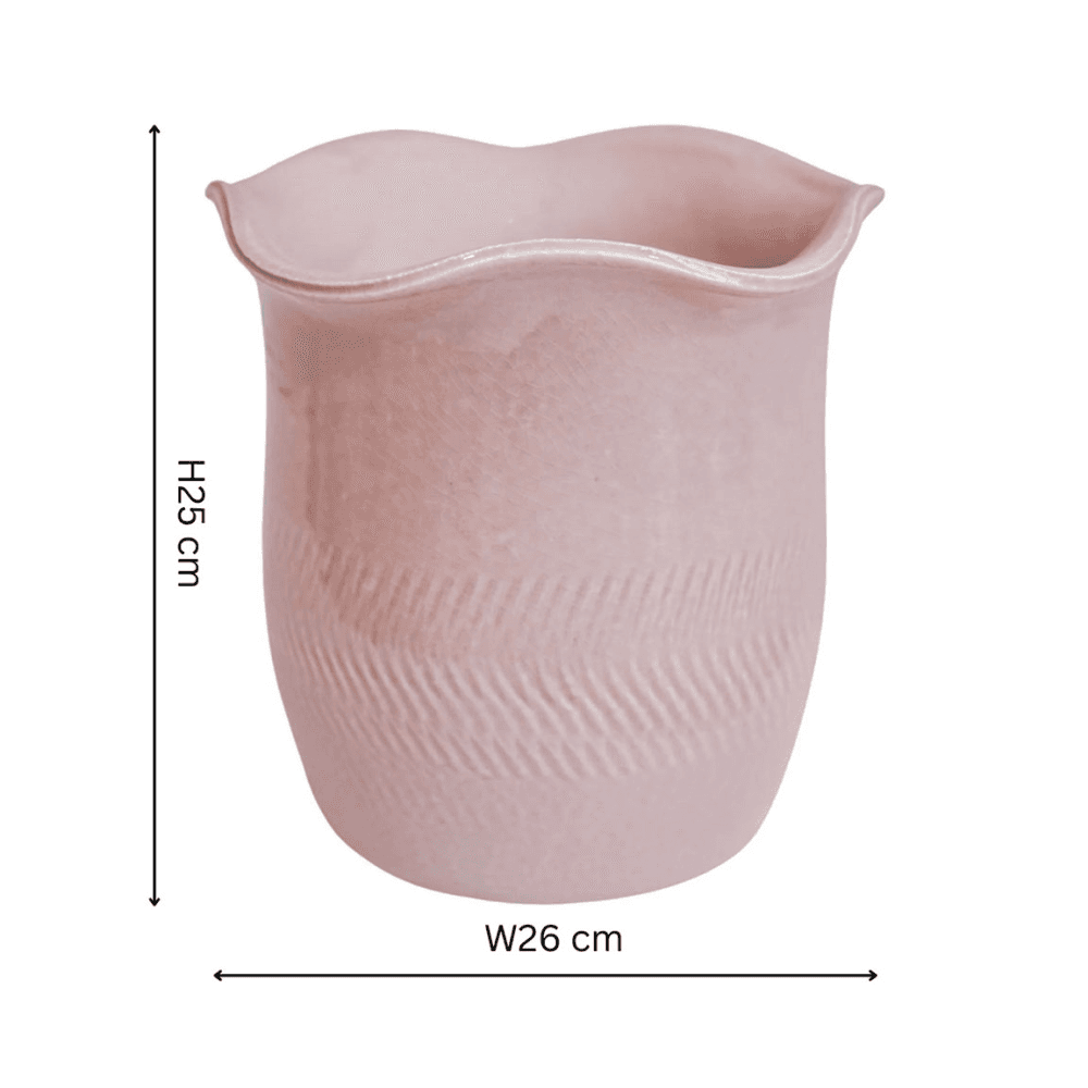 Camellia Scalloped Edge Planter