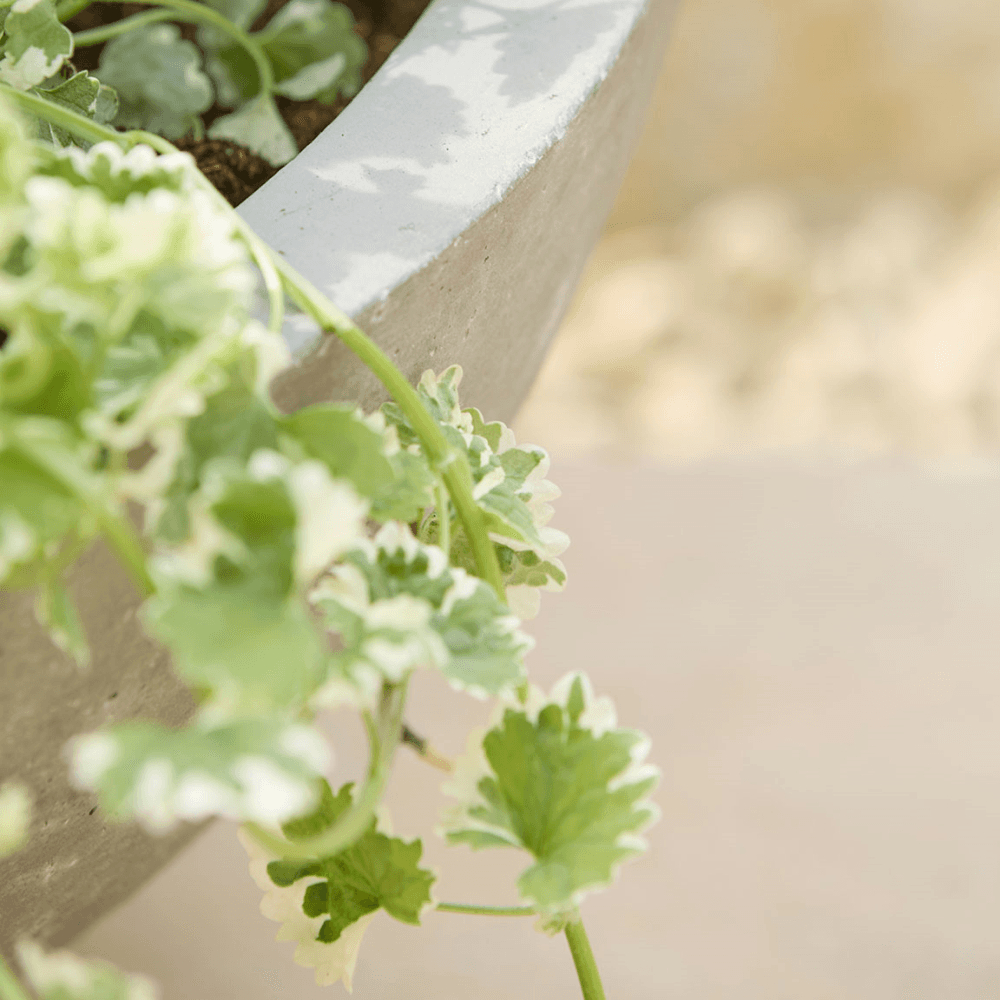 Alder Planter, Grey