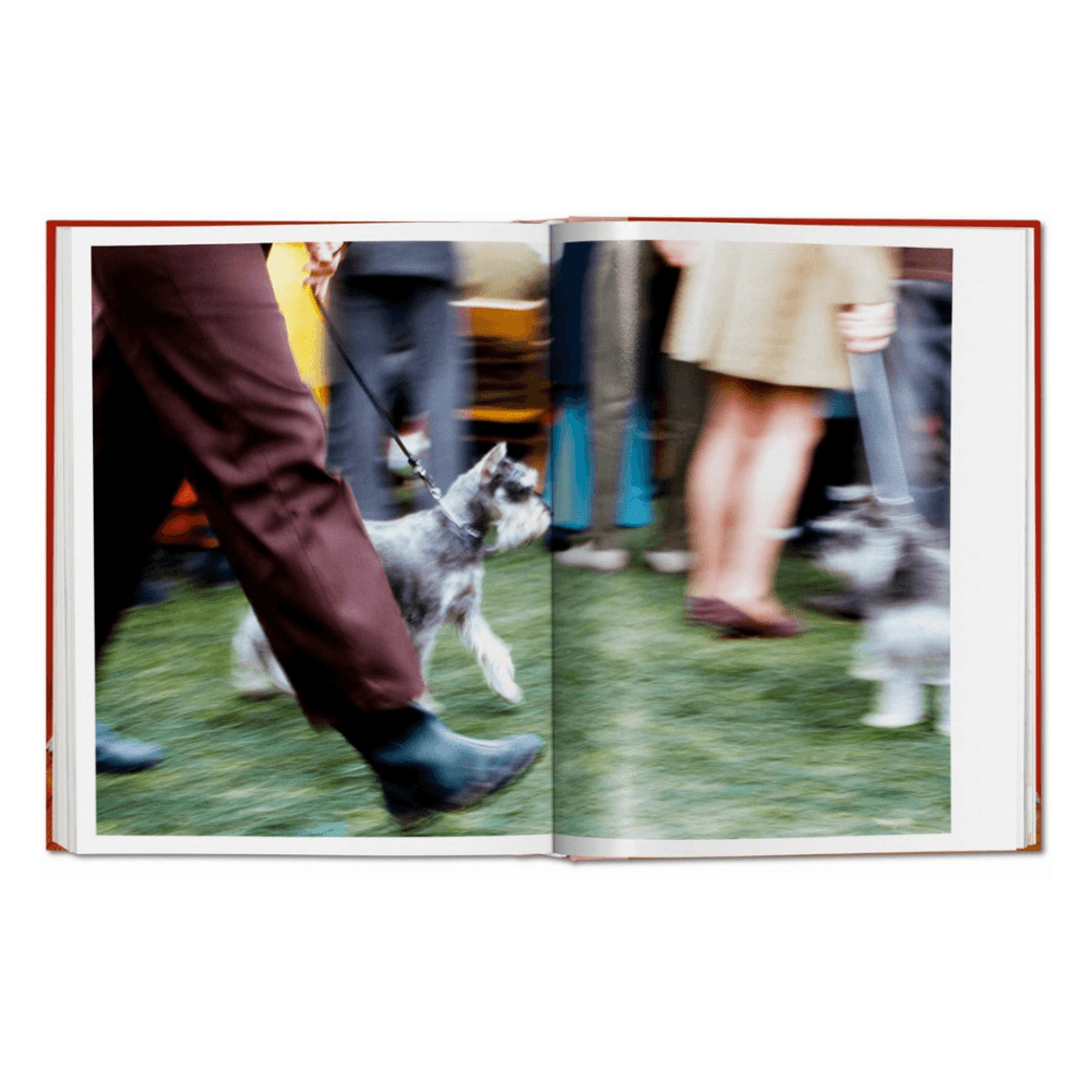 Walter Chandoha: Dogs, Photographs 1941-1991