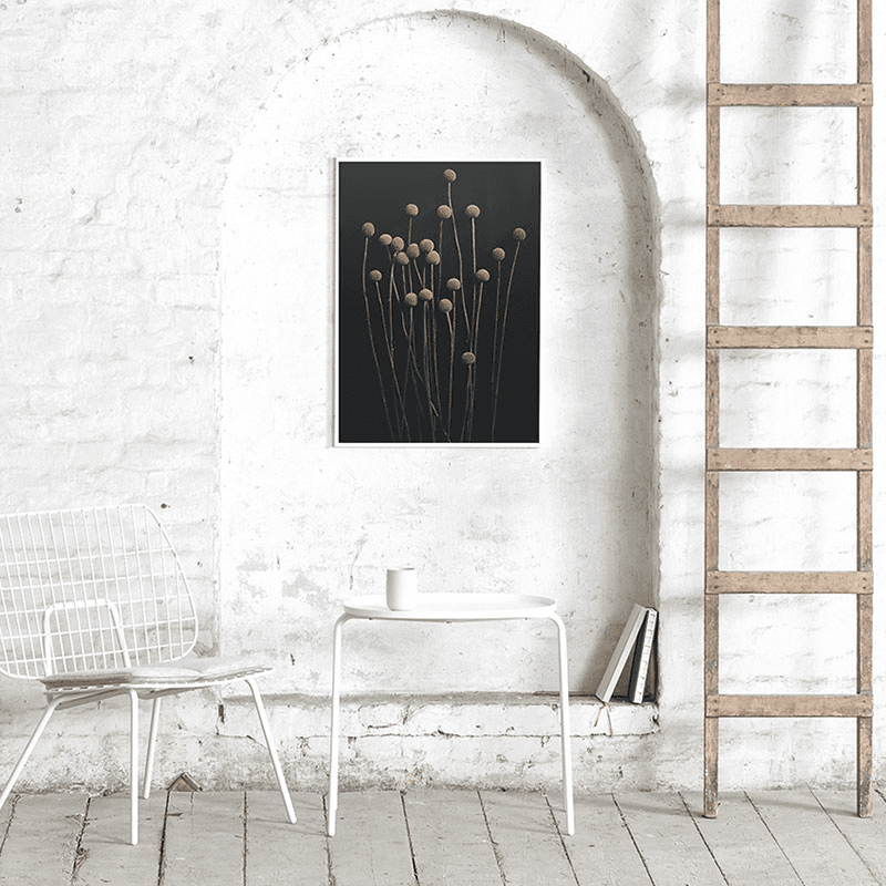Still Life 01 Art Print