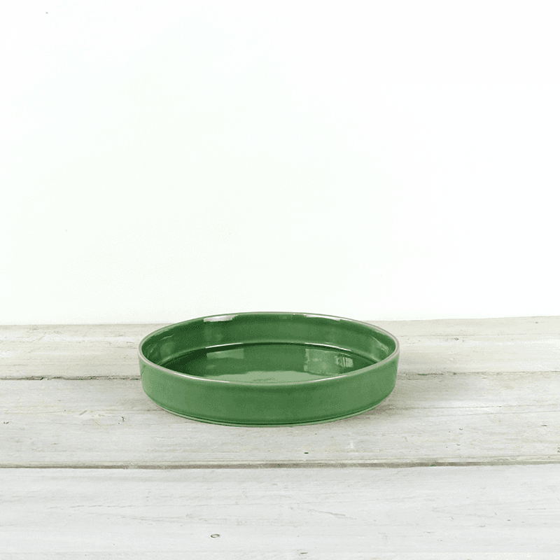 Parrot Pasta Bowl, Green