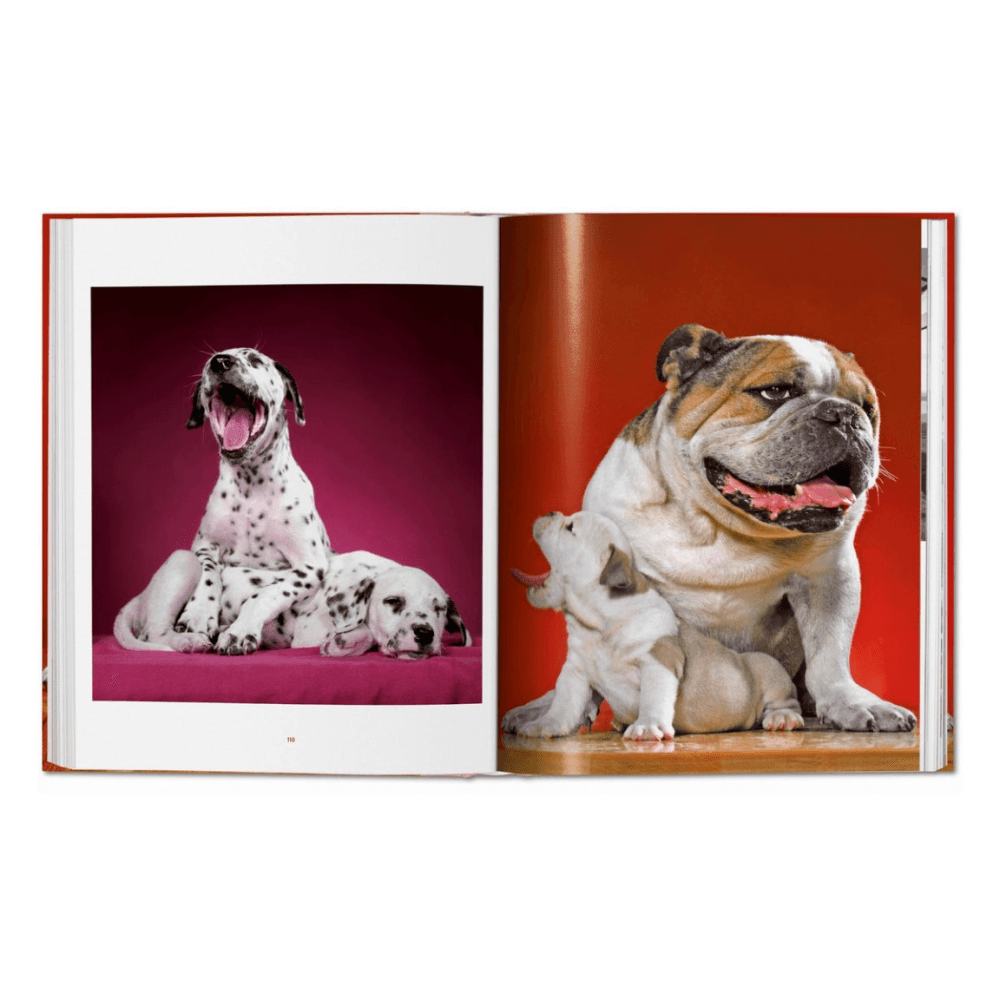 Walter Chandoha: Dogs, Photographs 1941-1991
