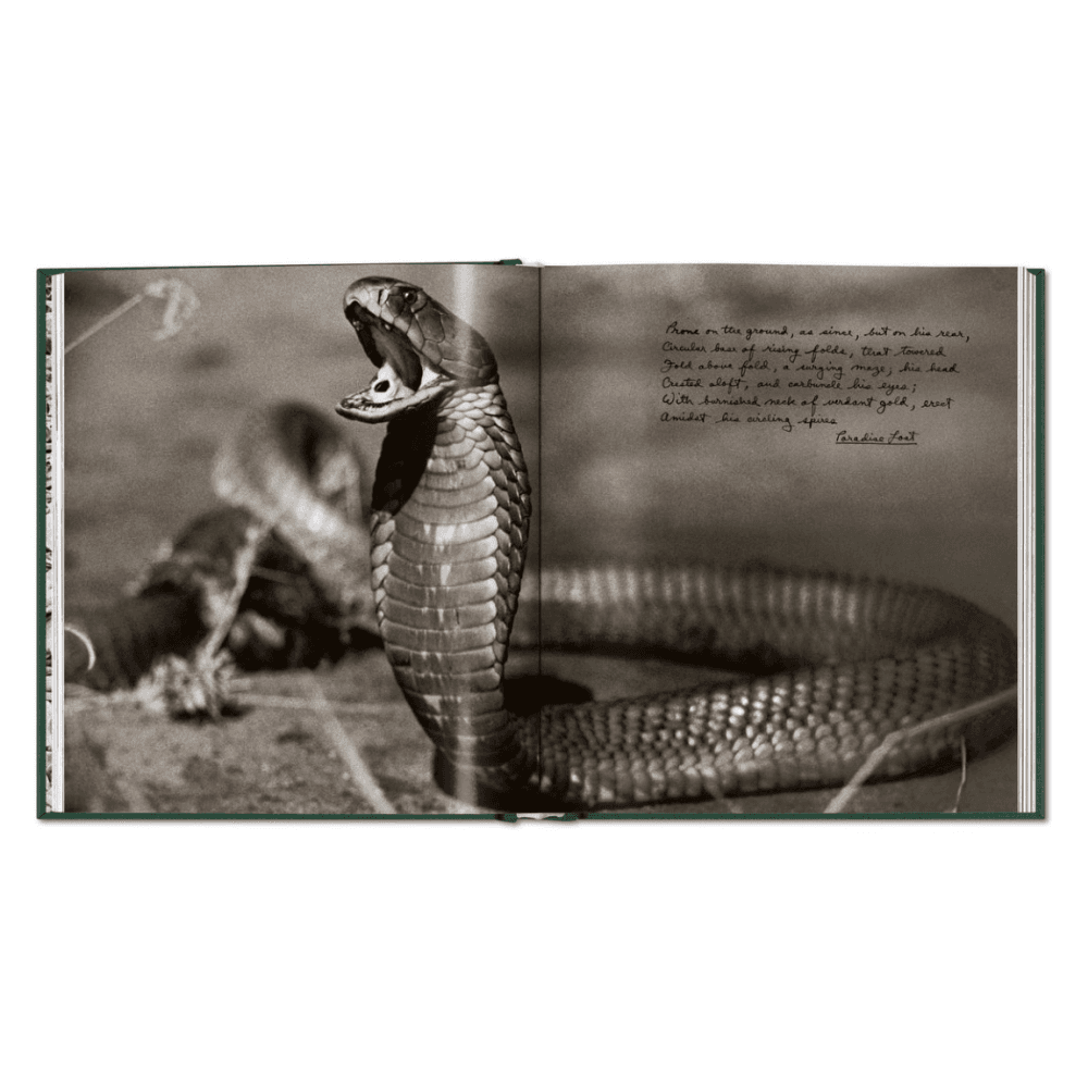 Peter Beard: The End of the Game