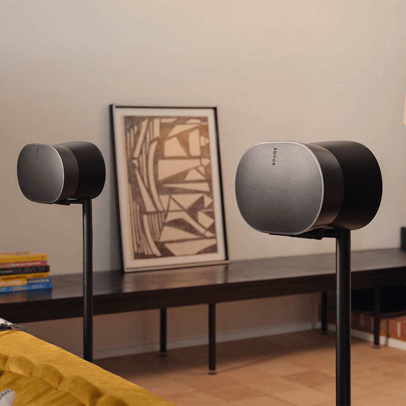 ERA 300 Wireless Speaker