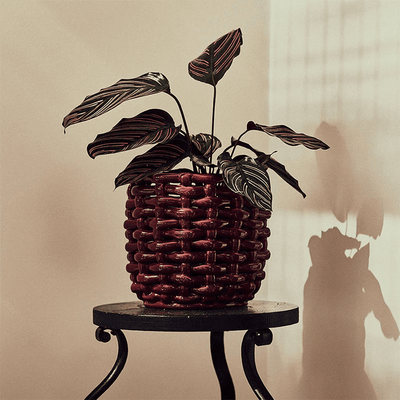 Juicy Basketweave Planter
